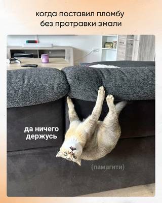 Мем